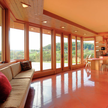 Galena Usonian