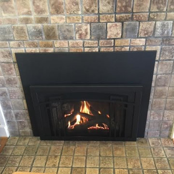 Gas and Electric Fireplace Inserts