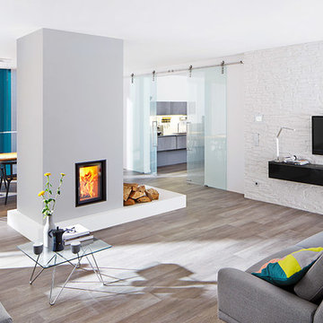 Glass Barn Doors