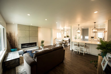 Living room - contemporary living room idea in Edmonton