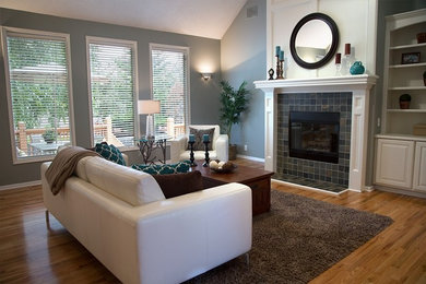 Living room - transitional living room idea in Kansas City