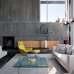 https://www.houzz.com/photos/graham-residence-modern-living-room-seattle-phvw-vp~1973165