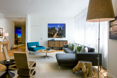 This is an example of a contemporary living room in New York.