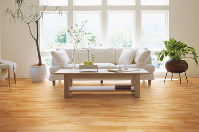 Modelo de salón para visitas abierto contemporáneo de tamaño medio sin chimenea y televisor con paredes blancas y suelo de madera clara
