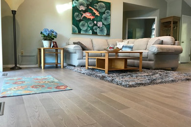 Inspiration for a modern light wood floor and brown floor living room remodel in Other