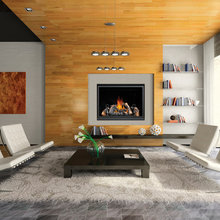 Fireplace and TV