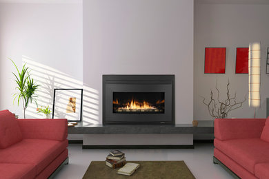 リトルロックにある高級な広いコンテンポラリースタイルのおしゃれなリビング (白い壁、コンクリートの床、横長型暖炉、金属の暖炉まわり、テレビなし、グレーの床) の写真