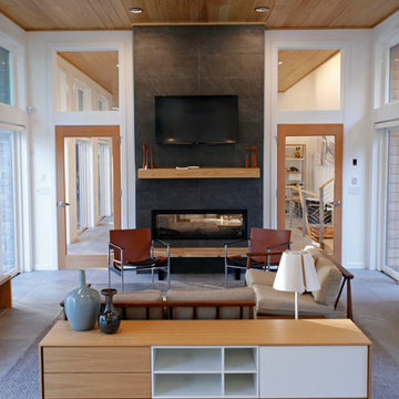 Heat & Glo MEZZO See-Through Gas Fireplace