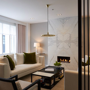 Design ideas for a medium sized modern living room in London with a reading nook, grey walls, a ribbon fireplace and a stone fireplace surround.