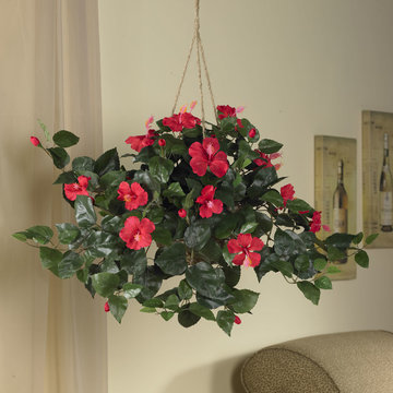 Hibiscus Hanging Basket for Living Room or Office