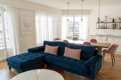 Living room - modern living room idea in Nice