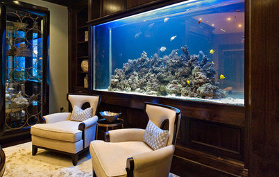 Tank Up on These 5 Pointers Before You Set Up an Aquarium