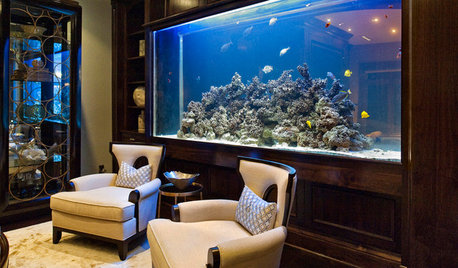 Tank Up on These 5 Pointers Before You Set Up an Aquarium
