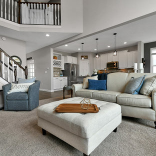 75 Beautiful Shiplap Wall Living Room with Gray Walls Pictures & Ideas