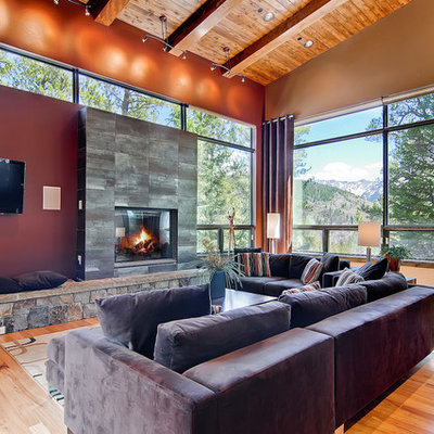 Trendy medium tone wood floor living room photo in Denver with red walls, a standard fireplace and a wall-mounted tv