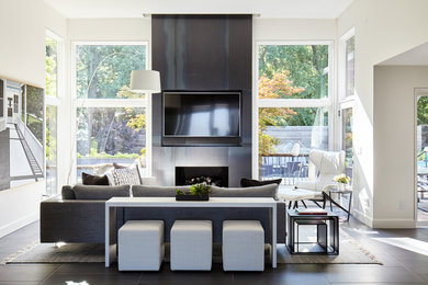 Living room - modern living room idea in Kansas City
