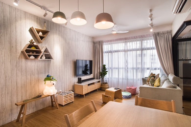 Example of a danish living room design in Singapore