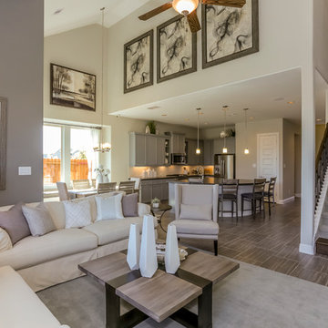 Houston, Texas | Towne Lake - Premier Magnolia Living Room