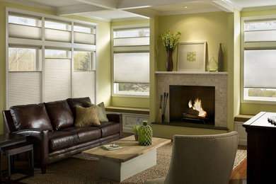 Mid-sized transitional enclosed medium tone wood floor living room photo in Other with green walls, a standard fireplace and a tile fireplace