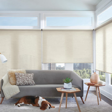 Hunter Douglas Designer Screen Shades