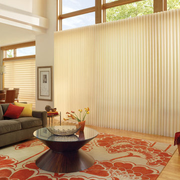 Hunter Douglas Eclectic Window Treatments and Draperies