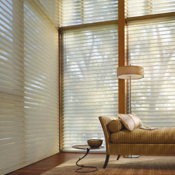 Hunter Douglas For Less - The Alustra® Collection of Silhouette®