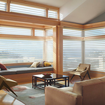 Hunter Douglas Silhouette Living Room Shades