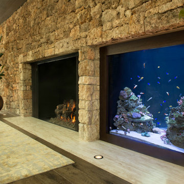 Fire & Water - 400 gallons In-Wall Aquarium