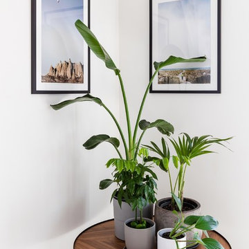 Indoor plant corner