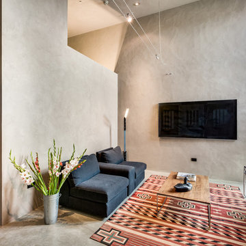 Industrial style home. American Clay Walls