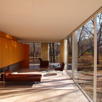 Influential Architecture ~ The Edith Farnsworth House