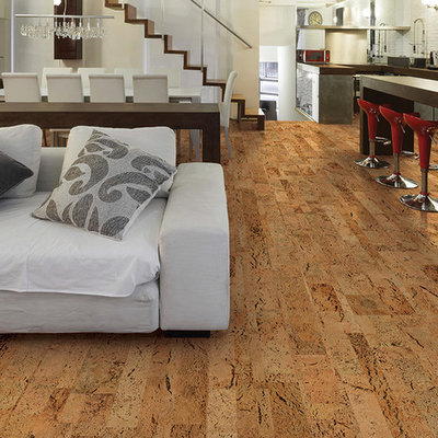 Mid-sized minimalist open concept cork floor living room photo in Other with white walls