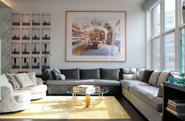 Transitional Living Room by Terrie Koles Design, llc