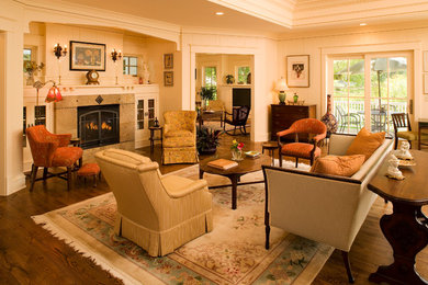 Living room - traditional living room idea in Minneapolis