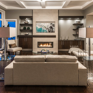 photo Modern Feature Wall Ideas Living Room With Fireplace fireplace feature wall houzz