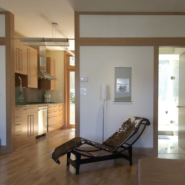 Japanese Inspired Remodel in Noe Valley-Living Room