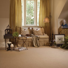 living room carpet/walls