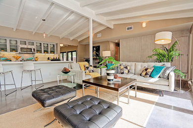 Mittelgroßes, Repräsentatives, Fernseherloses, Offenes Modernes Wohnzimmer ohne Kamin mit brauner Wandfarbe, Betonboden und grauem Boden in Los Angeles