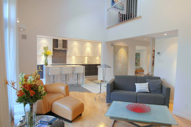 Medium sized modern mezzanine living room in Ottawa with white walls, medium hardwood flooring and a corner fireplace.