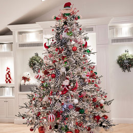 https://www.houzz.com/hznb/photos/kids-christmas-tree-decorating-ideas-transitional-living-room-san-diego-phvw-vp~133423100
