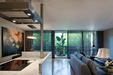 Diseño de salón abierto contemporáneo de tamaño medio con paredes grises y suelo de madera en tonos medios