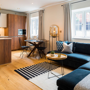 Inspiration for a scandinavian living room in Hertfordshire.