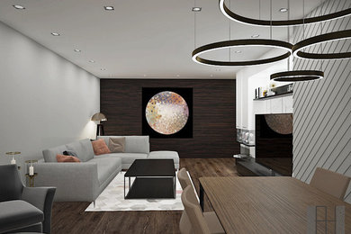 Living room - modern living room idea in Other