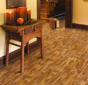 Flooring & Design Services  CarpetsPlus Of Wisconsin in Madison, WI