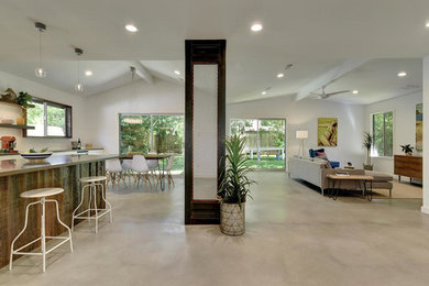 Ejemplo de salón minimalista de tamaño medio con paredes blancas y suelo de cemento