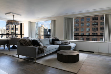 Living room - modern light wood floor and gray floor living room idea in New York with gray walls