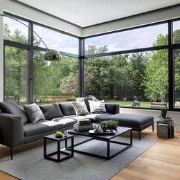 https://www.houzz.com/hznb/photos/lexington-modern-home-modern-living-room-boston-phvw-vp~142185664