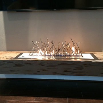 Linear Fireplace with Fire Sculpture