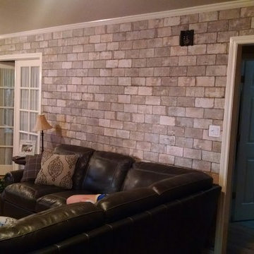 Living/fireplace projects