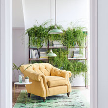 7 Unusual Spots to Green Up Your House
